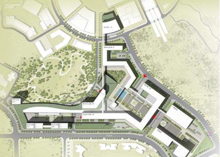 悟空网页版入口